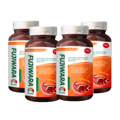 combo 4 hộp Fujiwara