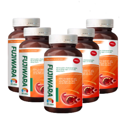 combo 5 hộp Fujiwara