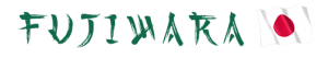 text fujiwara