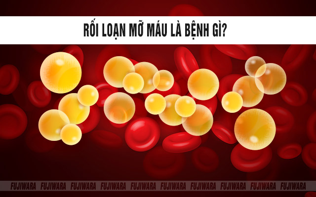 Rối loạn mỡ máu là gì?