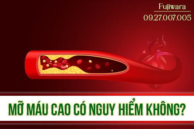 mỡ máu cao có nguy hiểm không?
