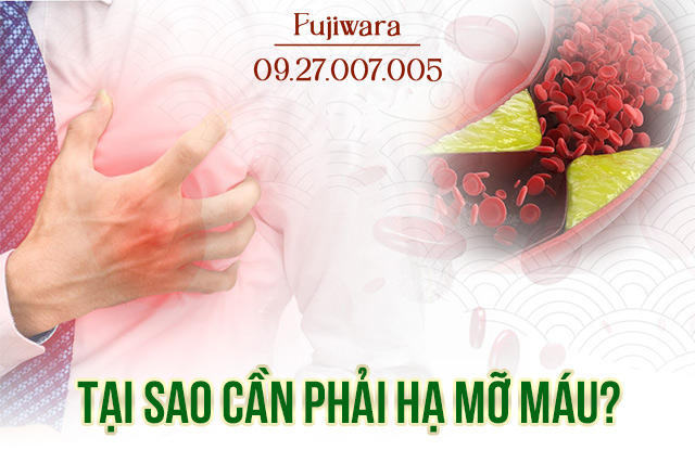 tại sao cần phải hạ mỡ máu